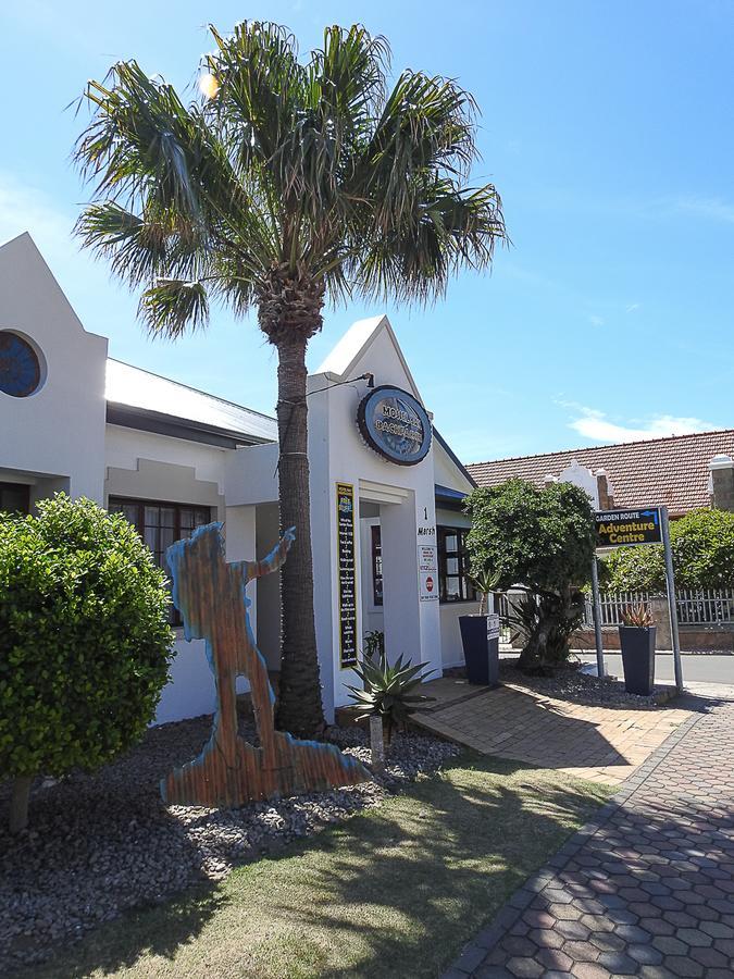 モーセル・ベイ Mosselbay Backpackersホステル エクステリア 写真